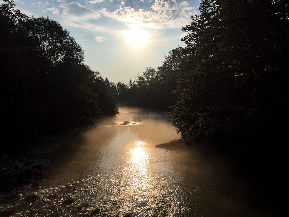 Morning dew over Savica stream