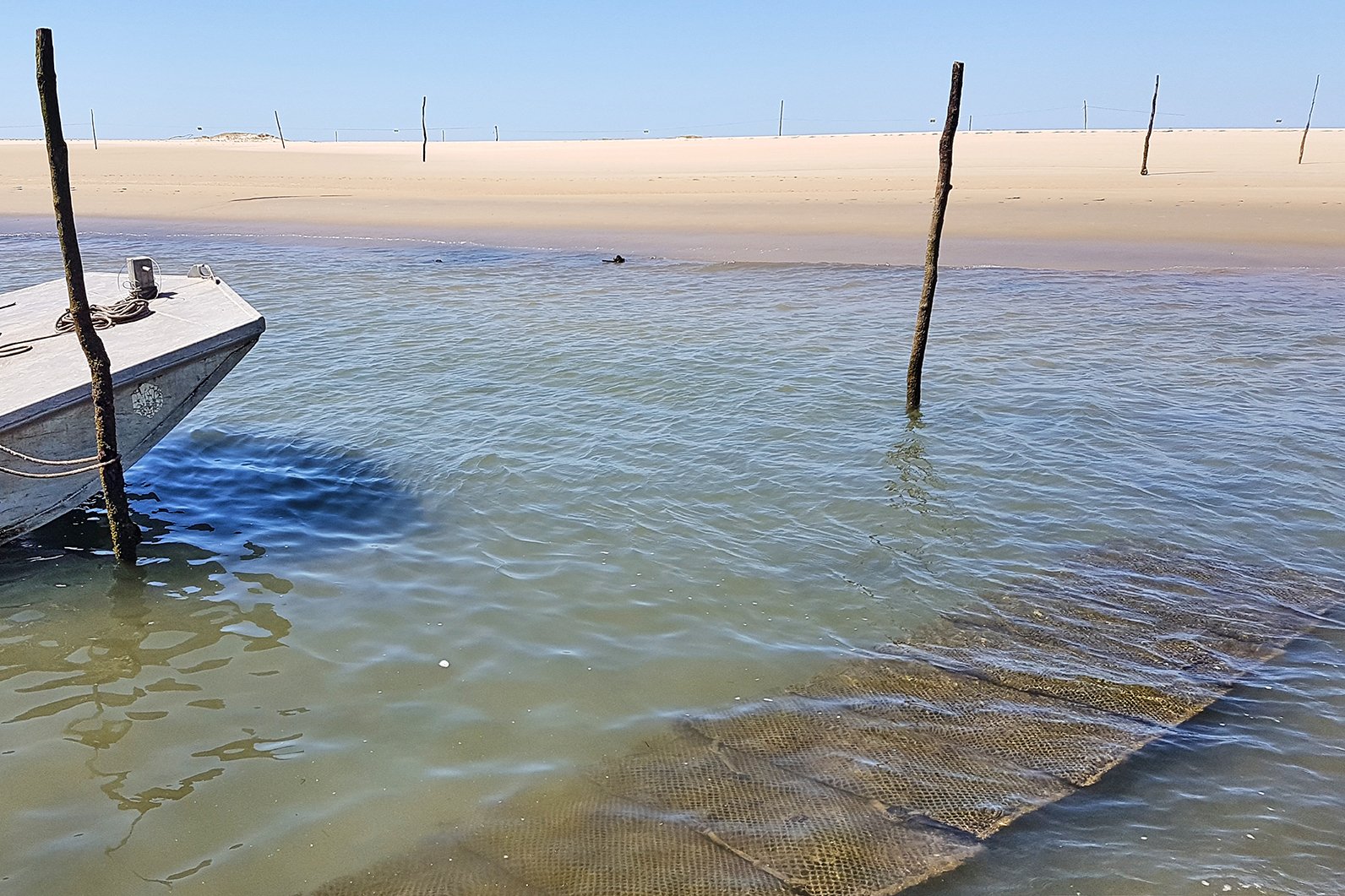 Parc d'ostreiculture du Bassin d'arcachon - Les DS du Bassin