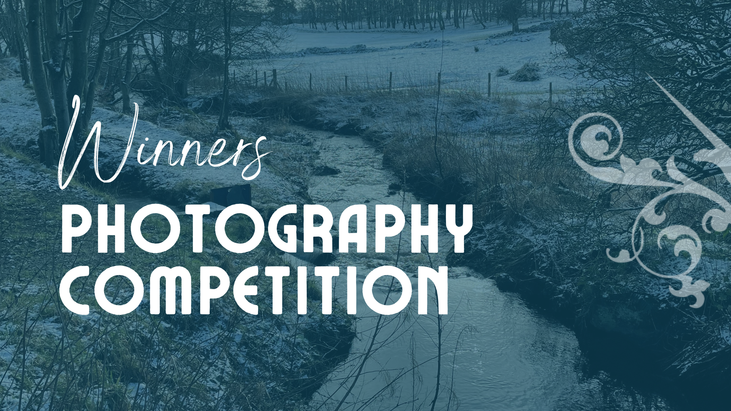 2026 Photography Competition Winners