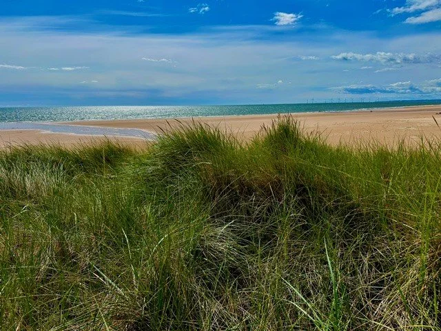 forvie nature reserve.jpg