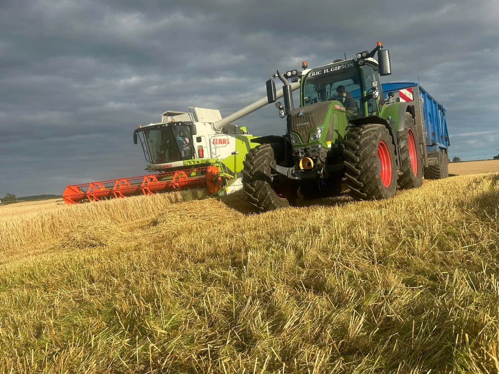 Harvesting.jpg