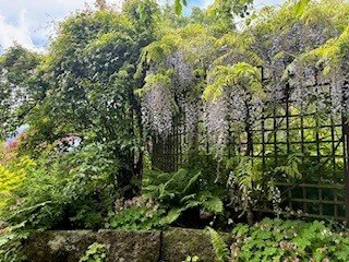 sensory garden aden 2.jpg
