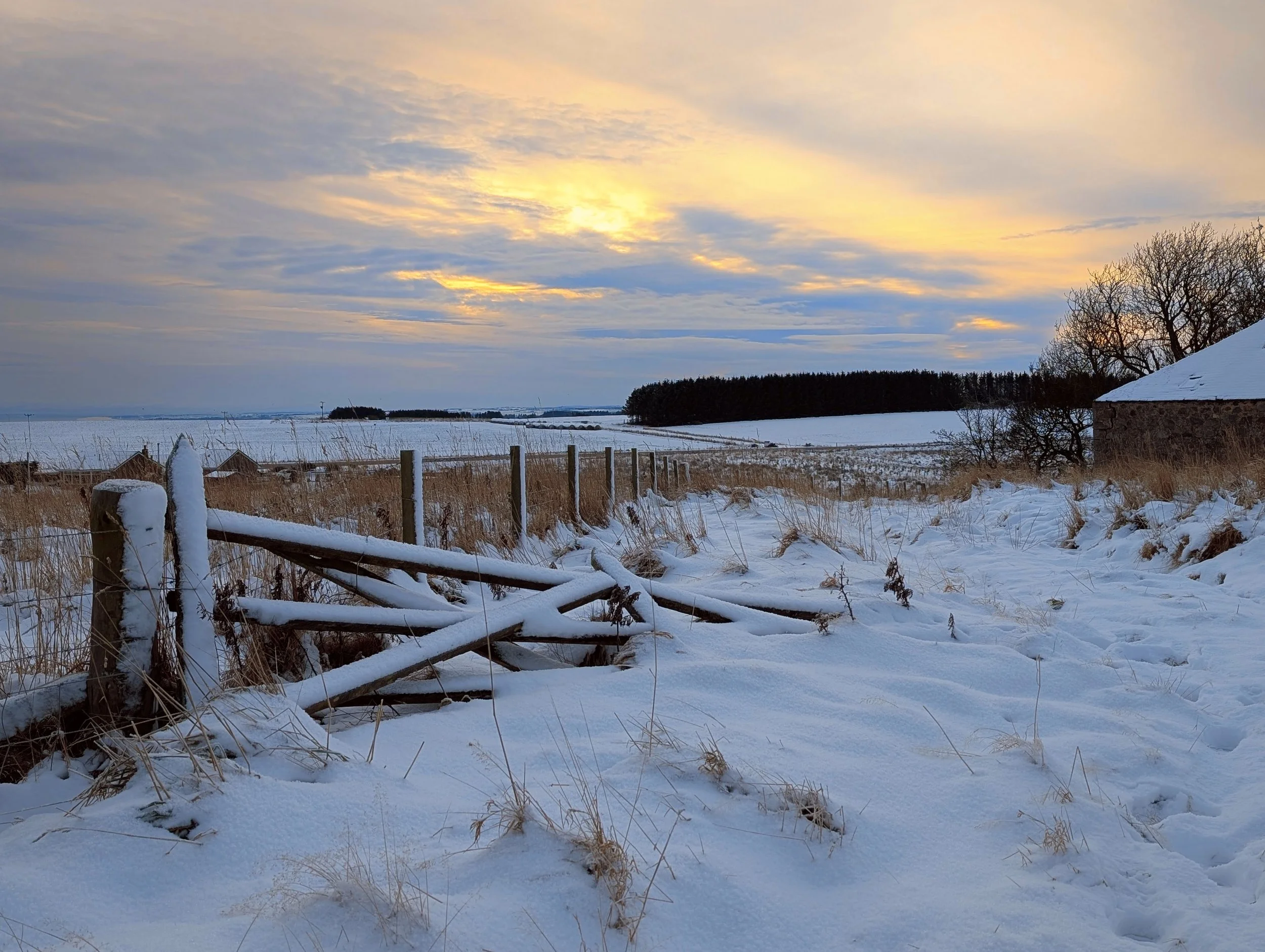 winter rural sunset.jpg