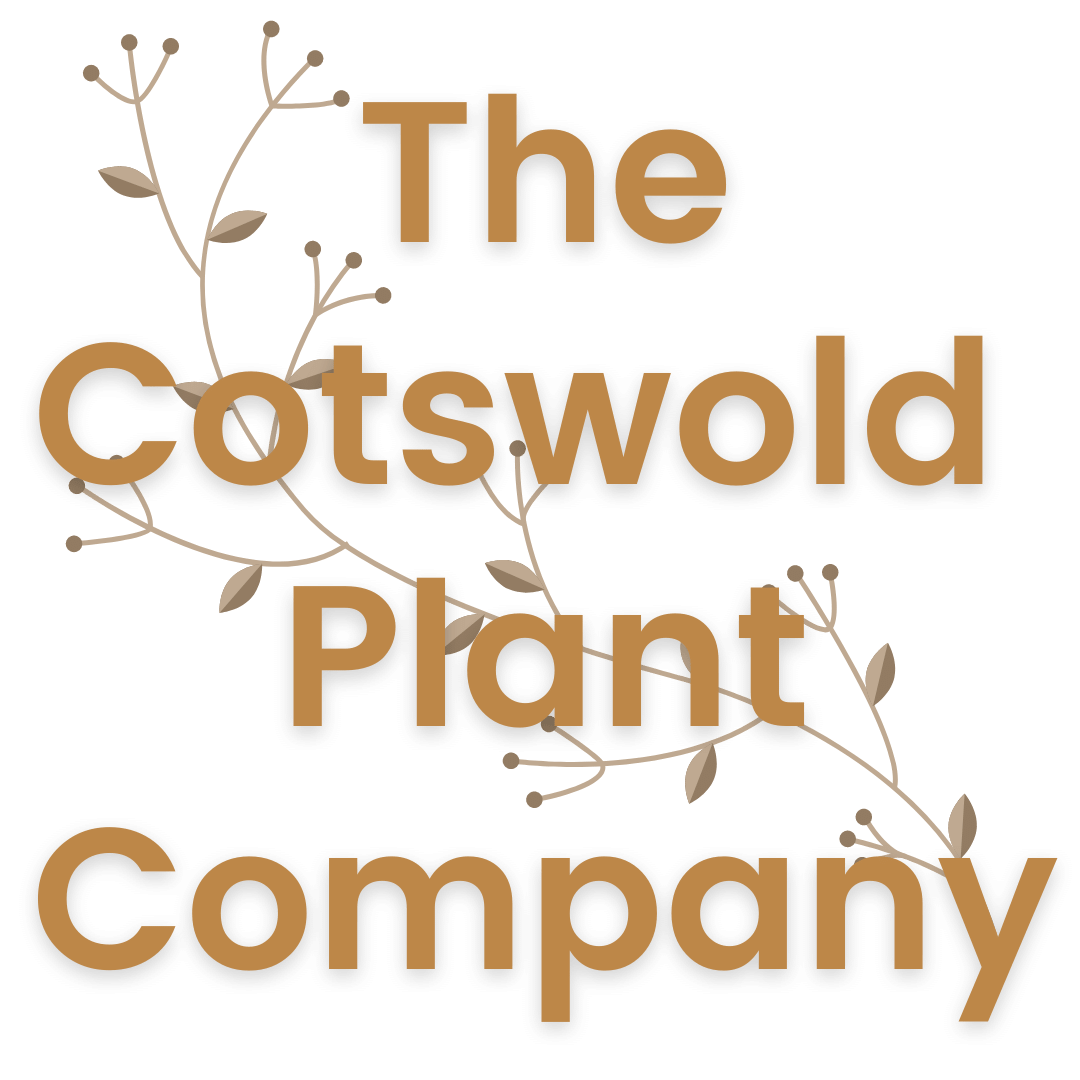 The Cotswold Plant Company