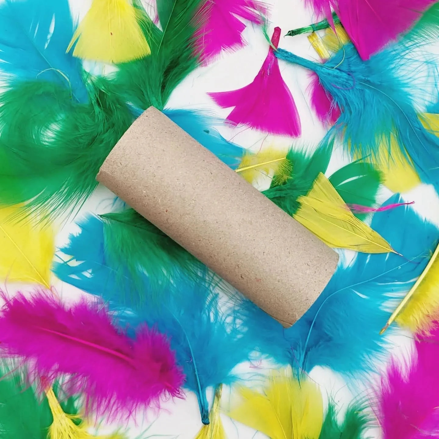 I am currently planning a session which will be using all natural or recycled materials (perhaps the odd bit of glue may sneak in!)
This will undoubtedly feature plenty of these guys. All hail the toilet roll!!!!