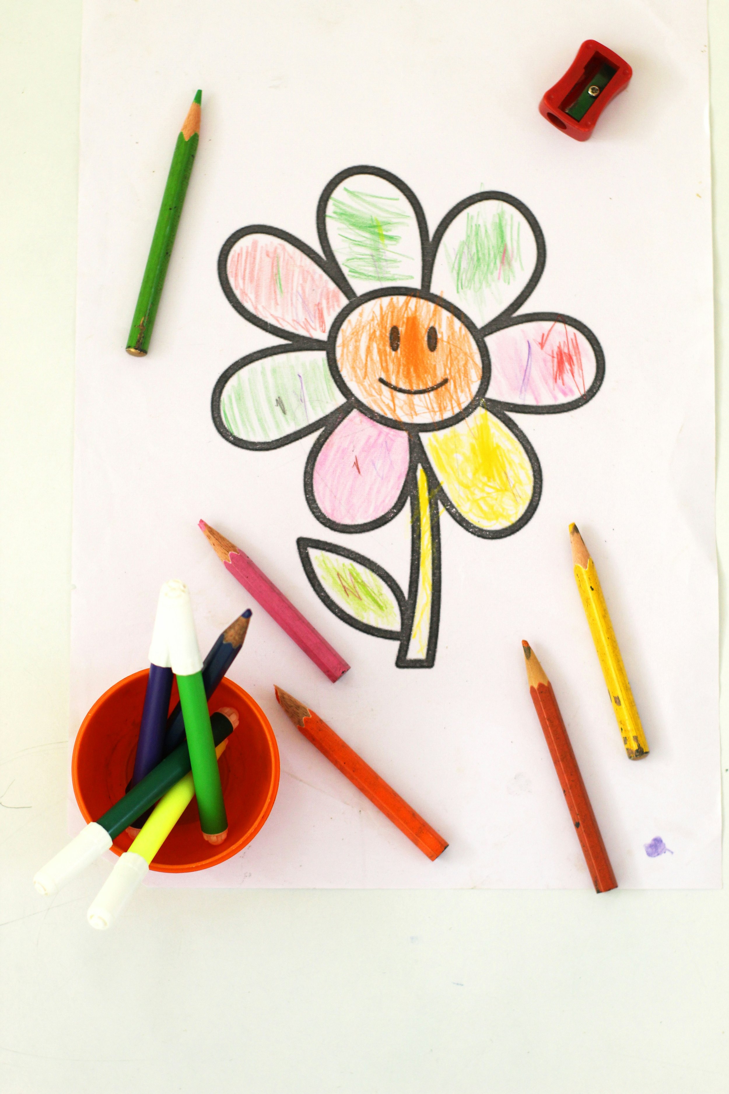 Nature Craft @ Great Comp Gardens