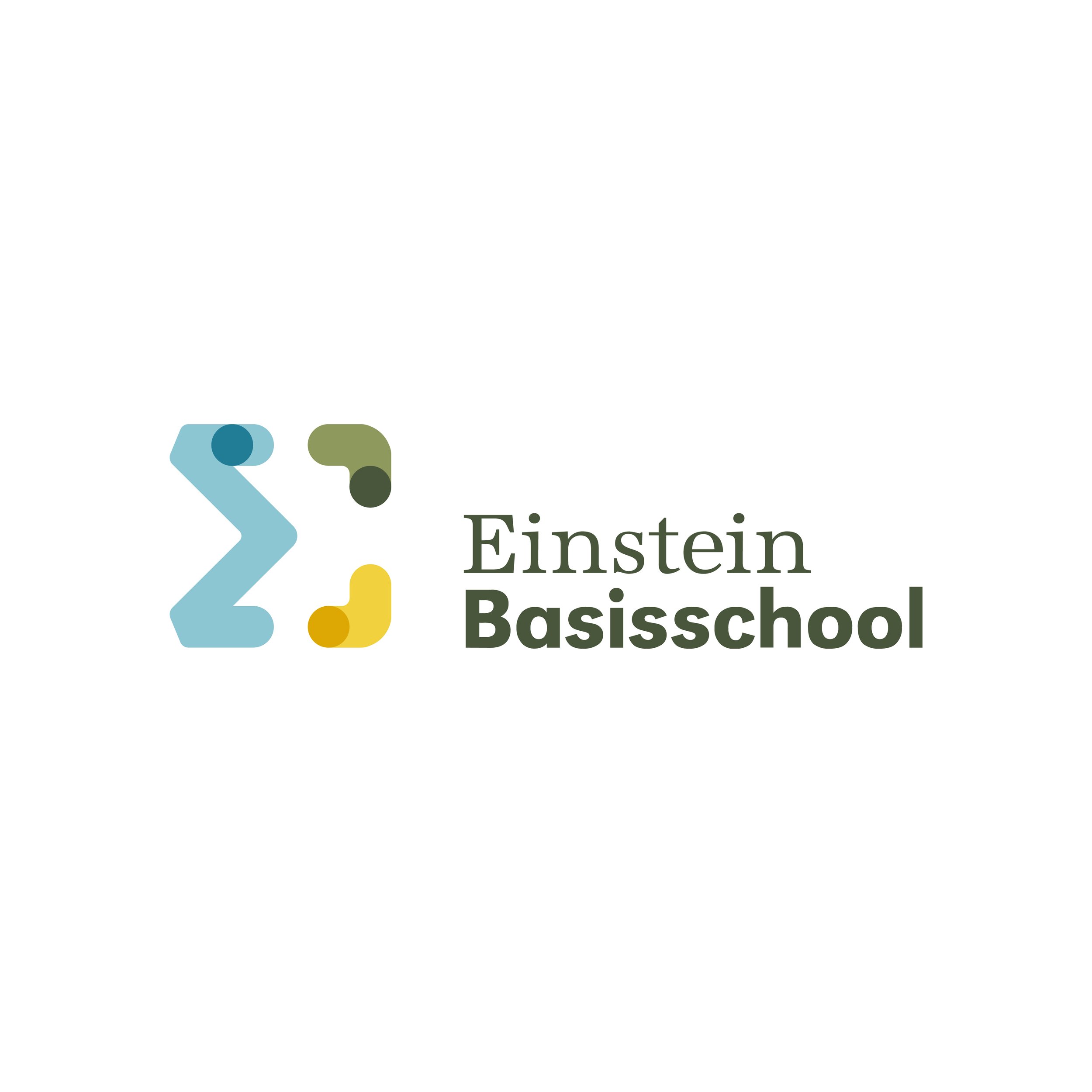 logo_einstein-pos.jpg