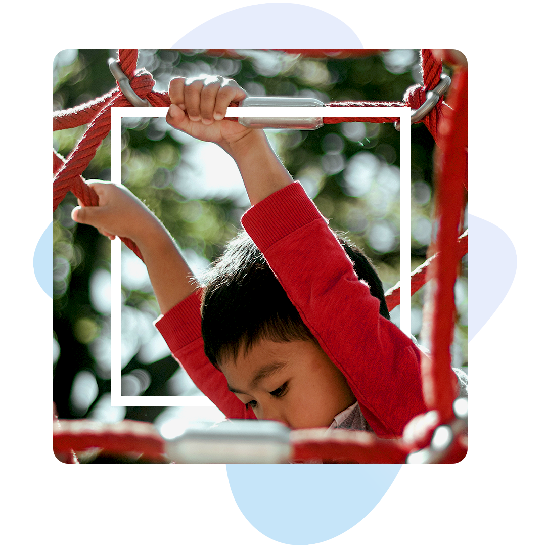 Scholengroep Impact Brugge - leerling basisonderwijs