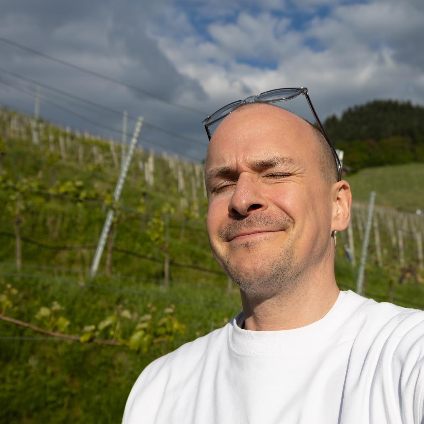 Sunshine and Frost... It was easy to forget the disastrous night in some vineyards during this sunny day. In the very early hours before sunrise on Tuesday morning, winemakers were running around in their vineyards trying to save their vines from fro