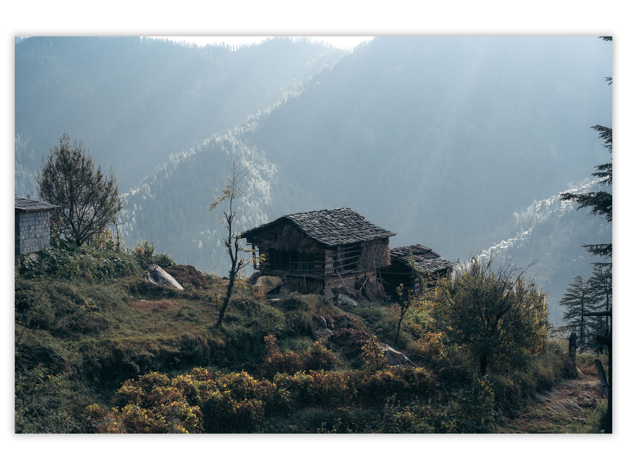 HimachalMtnCottage-2677.jpg
