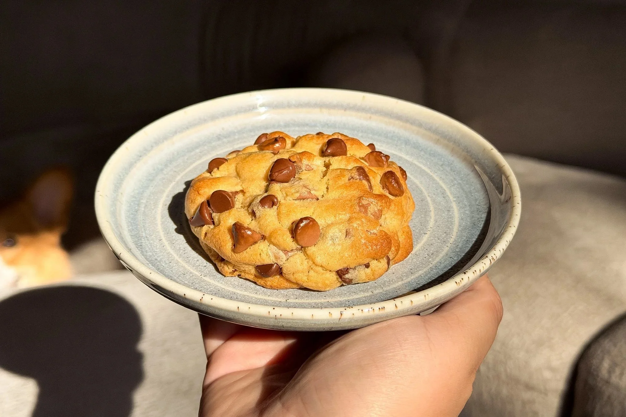 A cookie with chocolate chips on a small ceramic plate, held in a hand.