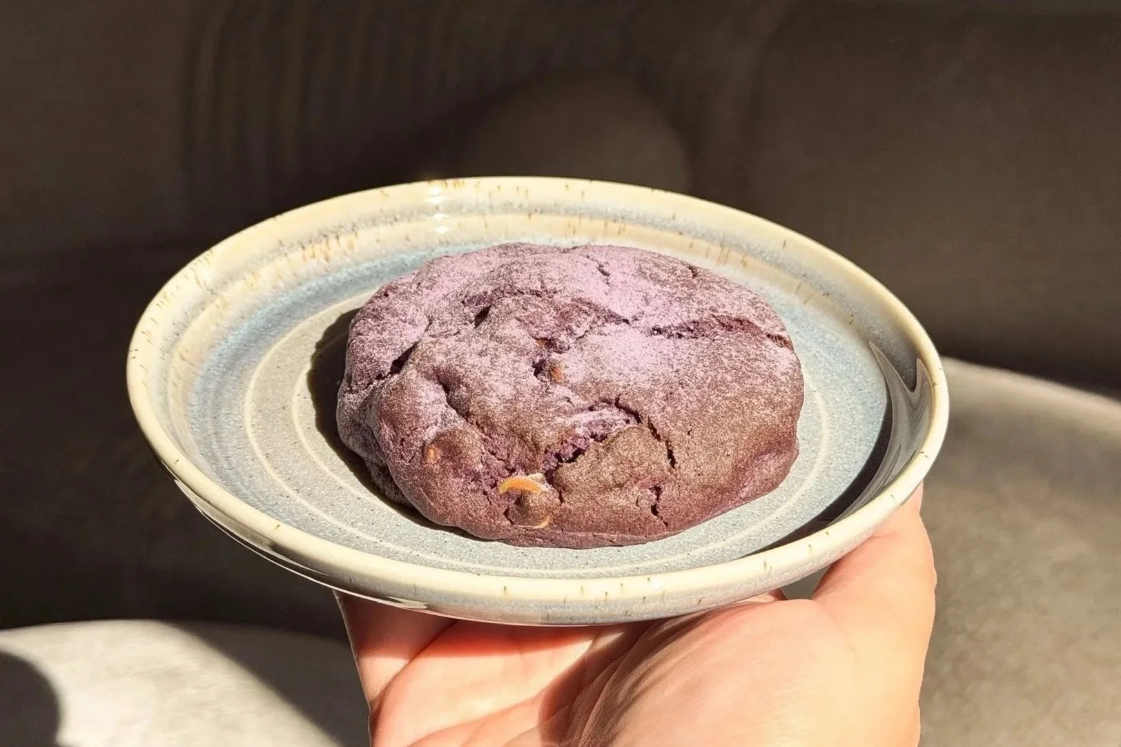 A hand holding a ceramic plate with an ube, cracked, and slightly frosted cookie.