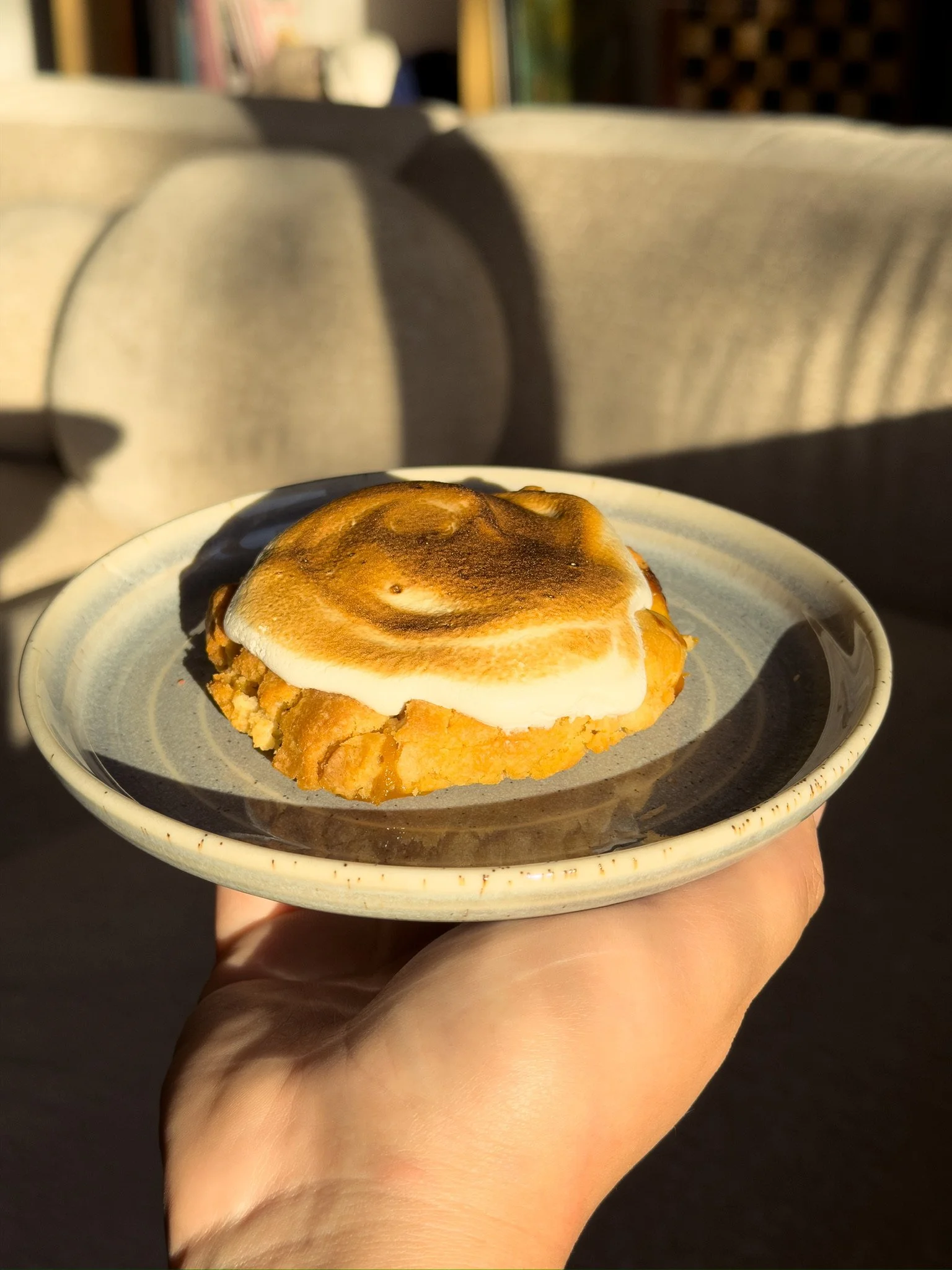 A person holding a small plate with a toasted s'mores dessert, which includes a toasted marshmallow on top of graham cracker and chocolate layers, against a blurred indoor background.