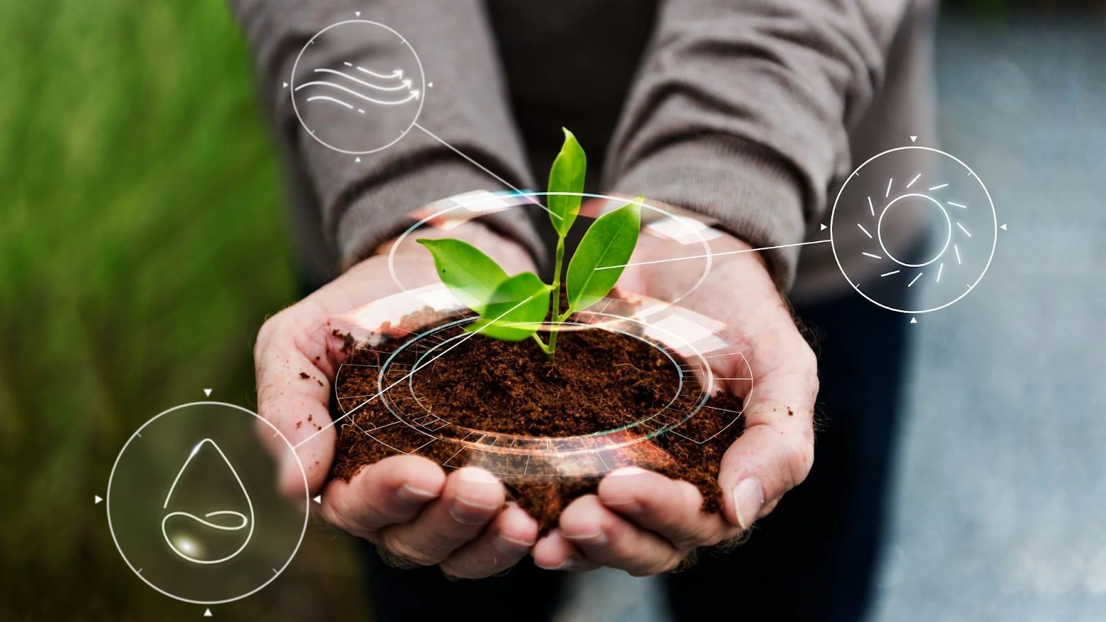 Adsmovil, ejemplo de empresa medioambientalmente responsable frente al cambio climático