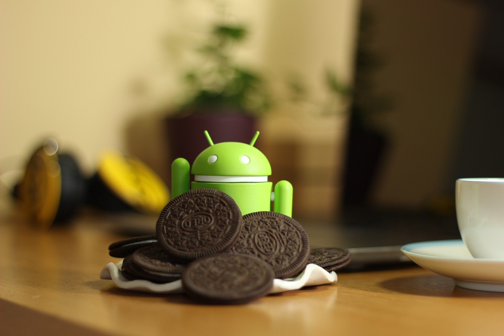 El Privacy Sandbox de Android entrará en fase beta a principios de 2023