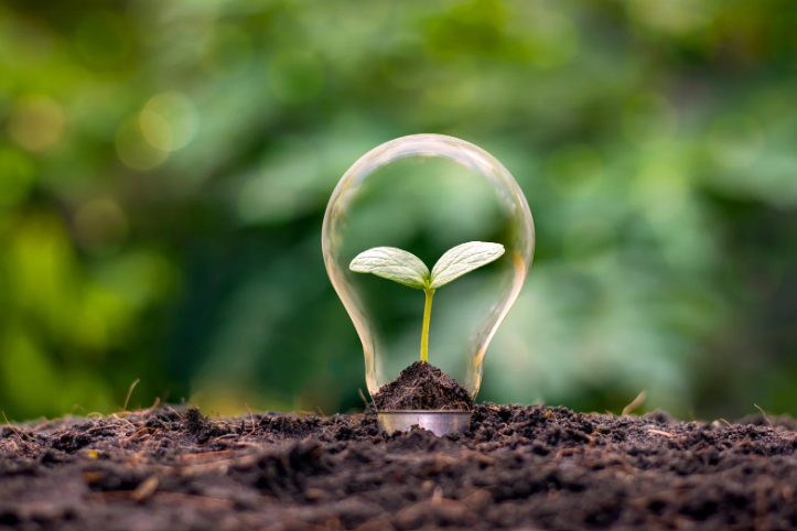 Net Zero Ads, la innovadora solución de Logan y Presente para minimizar el impacto de la publicidad digital