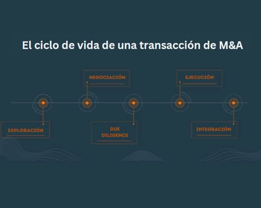 El ciclo de vida de una transacción de M&amp;A
