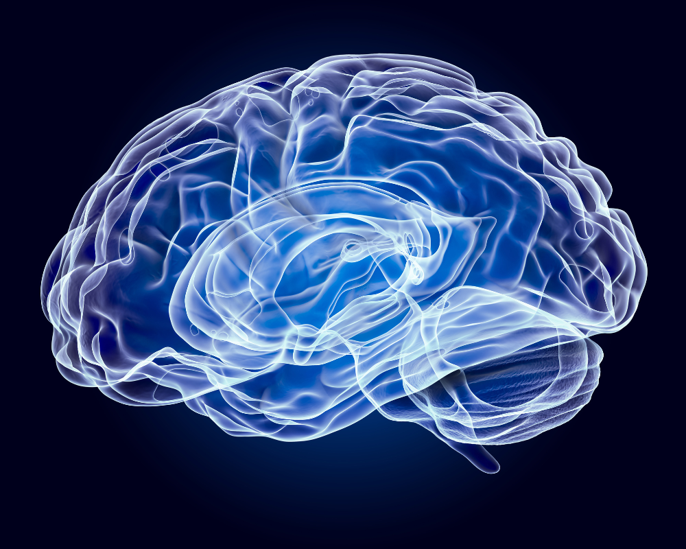 Seedtag presenta la publicidad Neuro-Contextual, una nueva era de precisión contextual