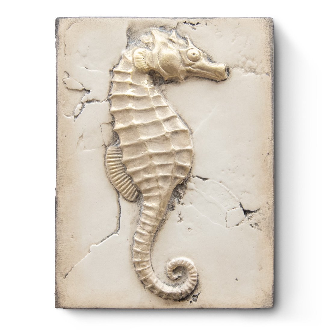 t281-oceans_gift-front.jpg
