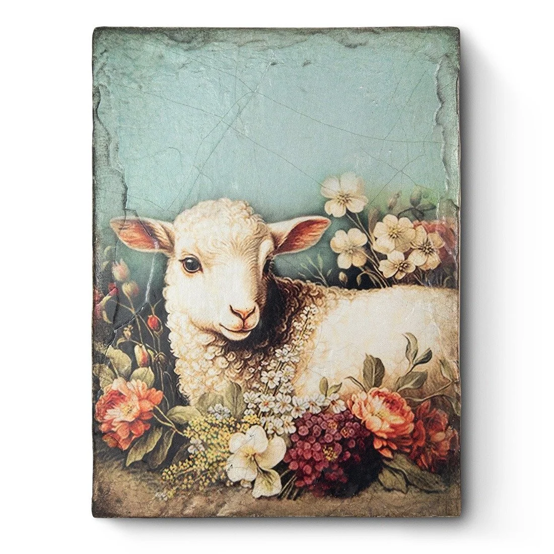 t656-blessed_lamb-front.jpg