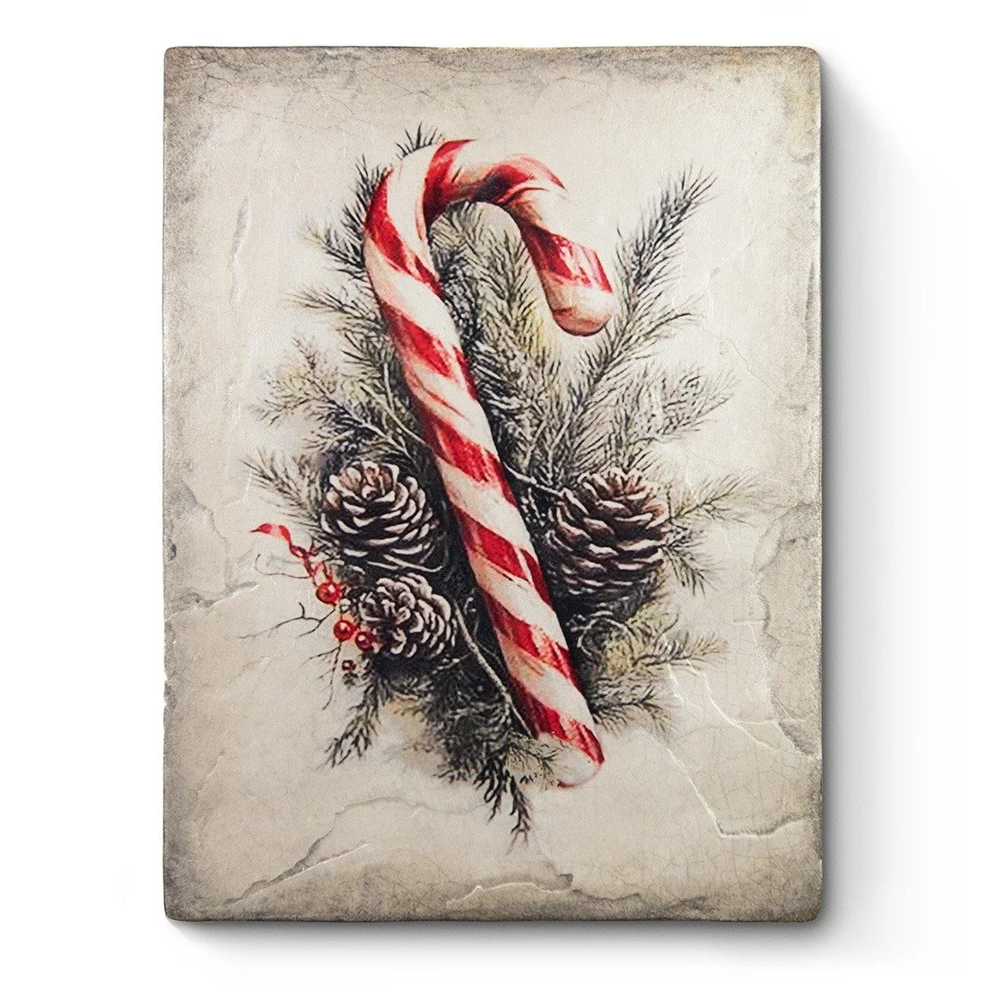 Sid Dickens Memory Block T679 Candy Cane