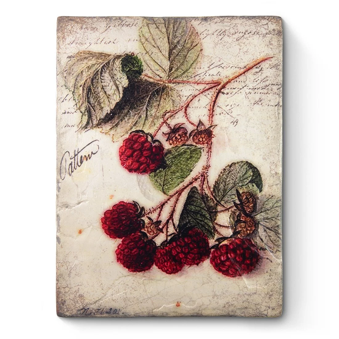 t691-scarlet_bramble-front.jpg