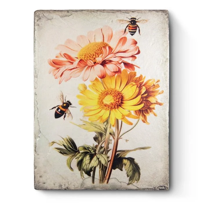 Sid Dickens Memory Block T664 Natures Synergy