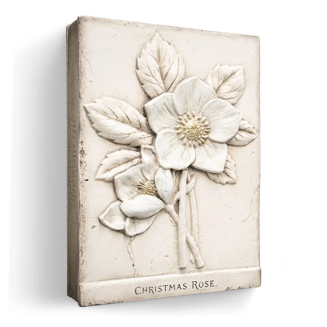 t717-christmas_rose-angle.jpg
