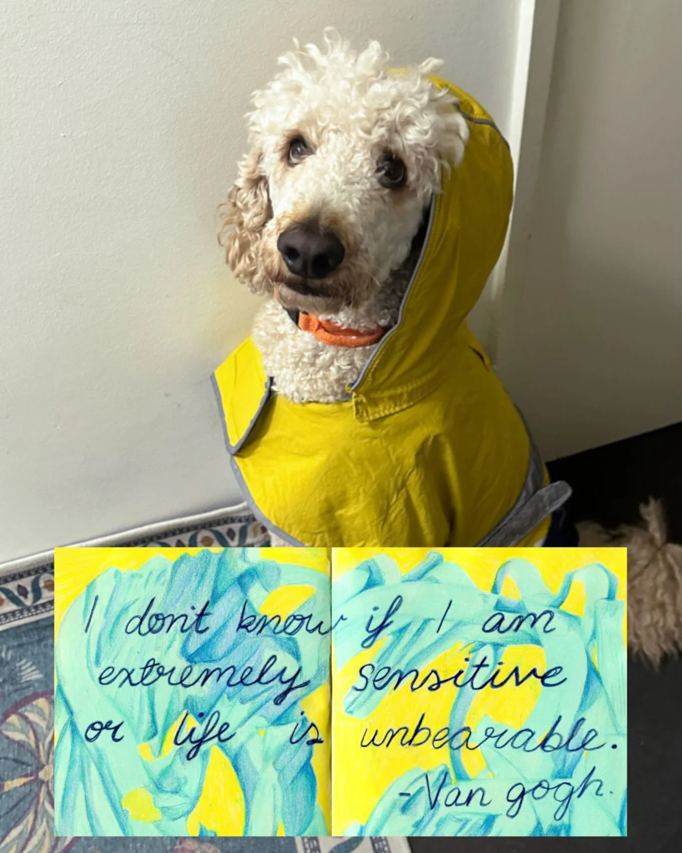 Succinct and to the point, can it be both?
Thanks Van Gogh!