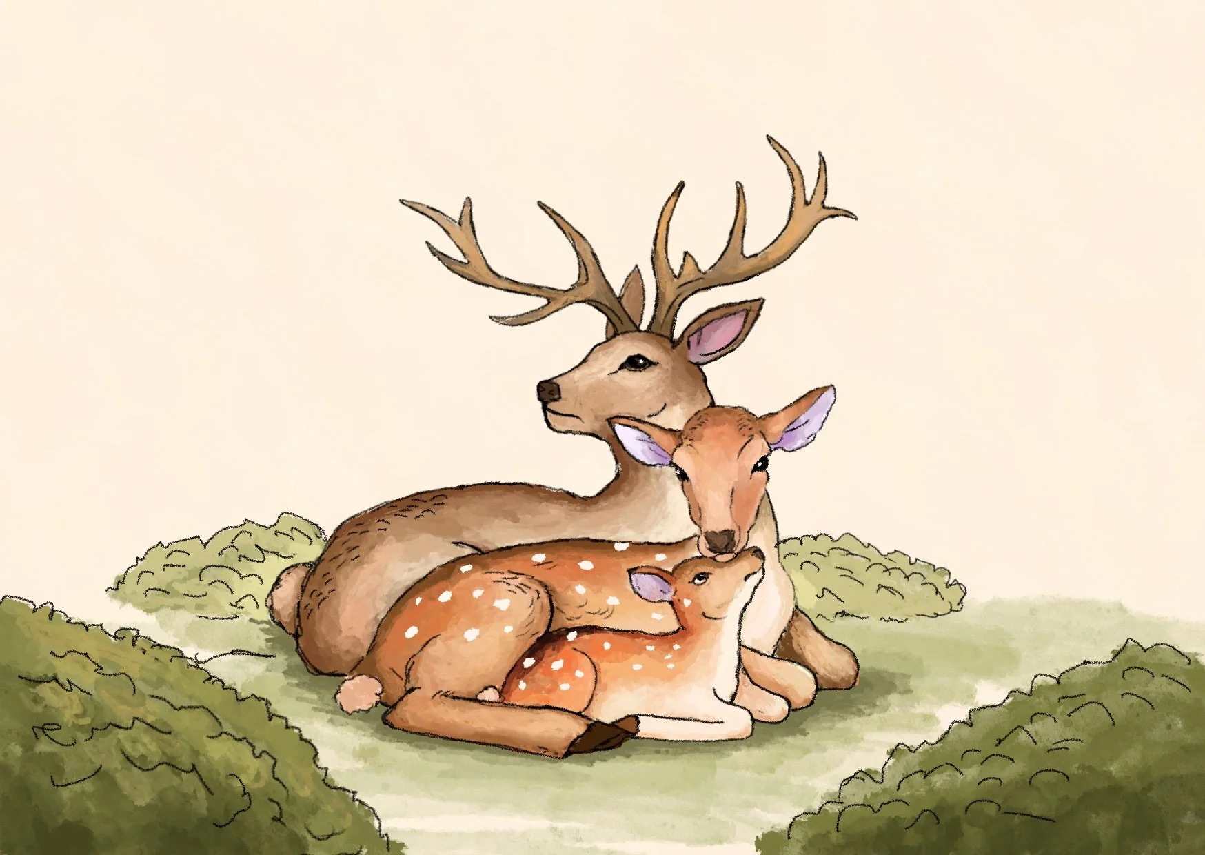 Birthcard postcard illustration
