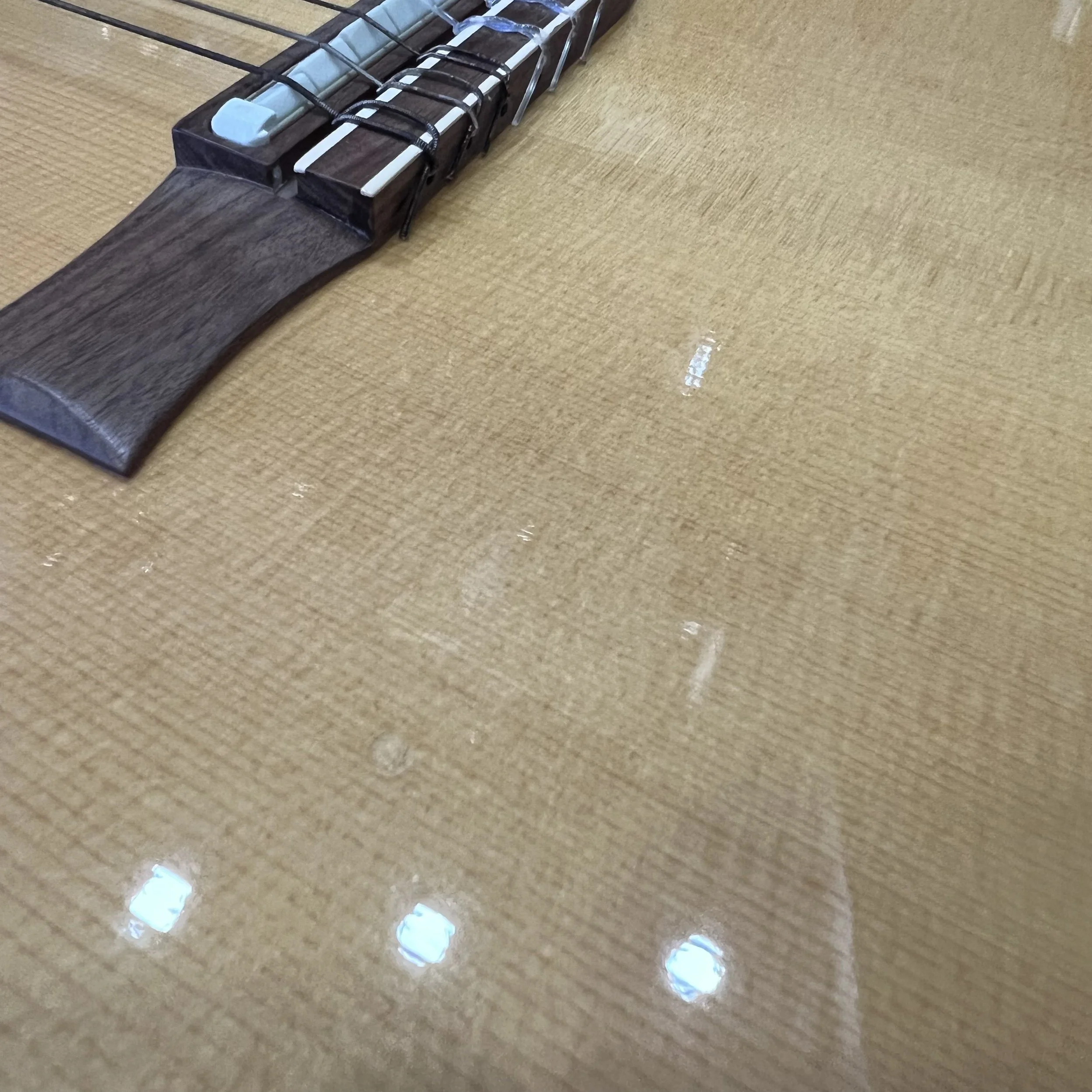 Gibson Chet Atkins SST solid-body acoustic_011.jpeg