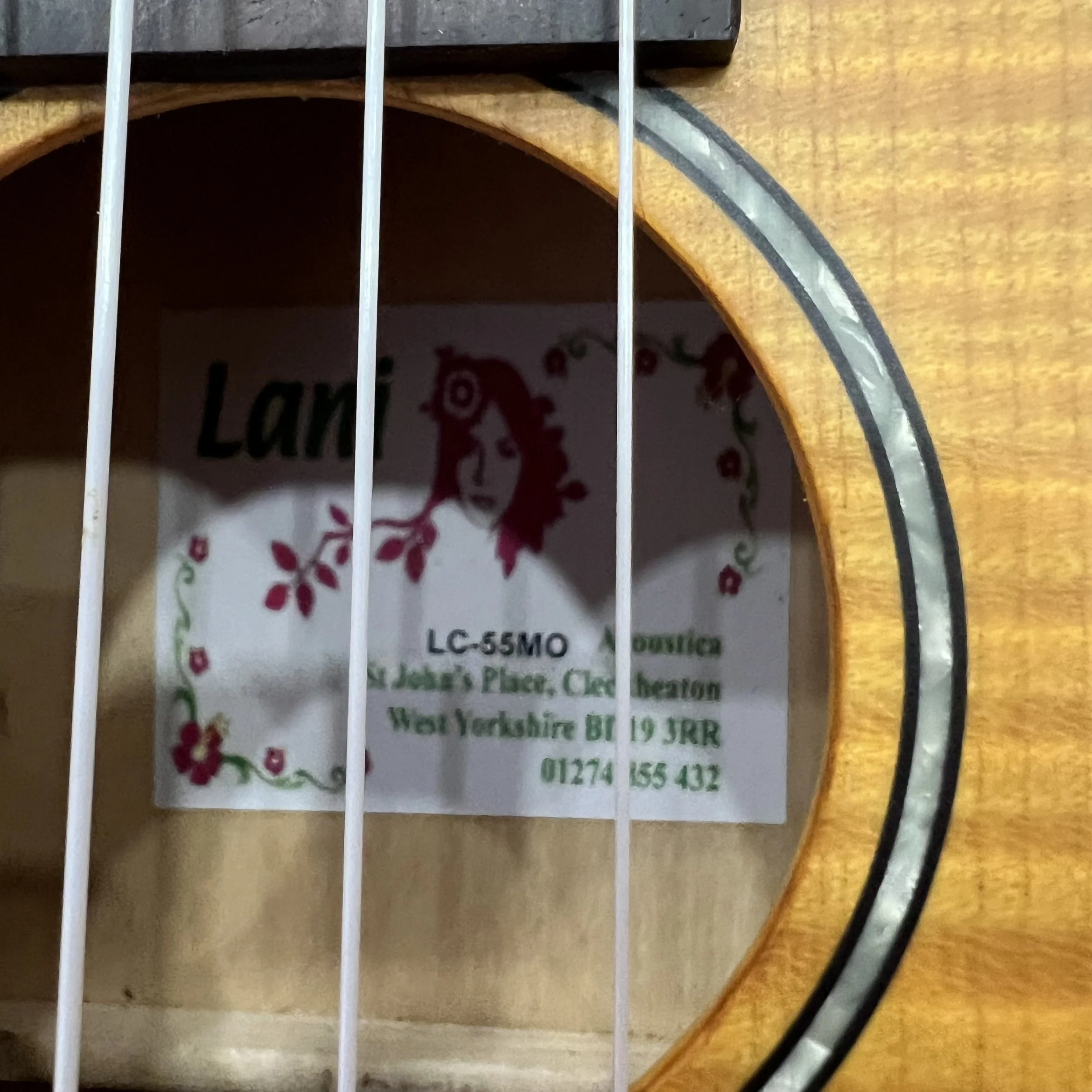 Lani-ukulele-concert-LC55MO-tweed-case-06.jpeg