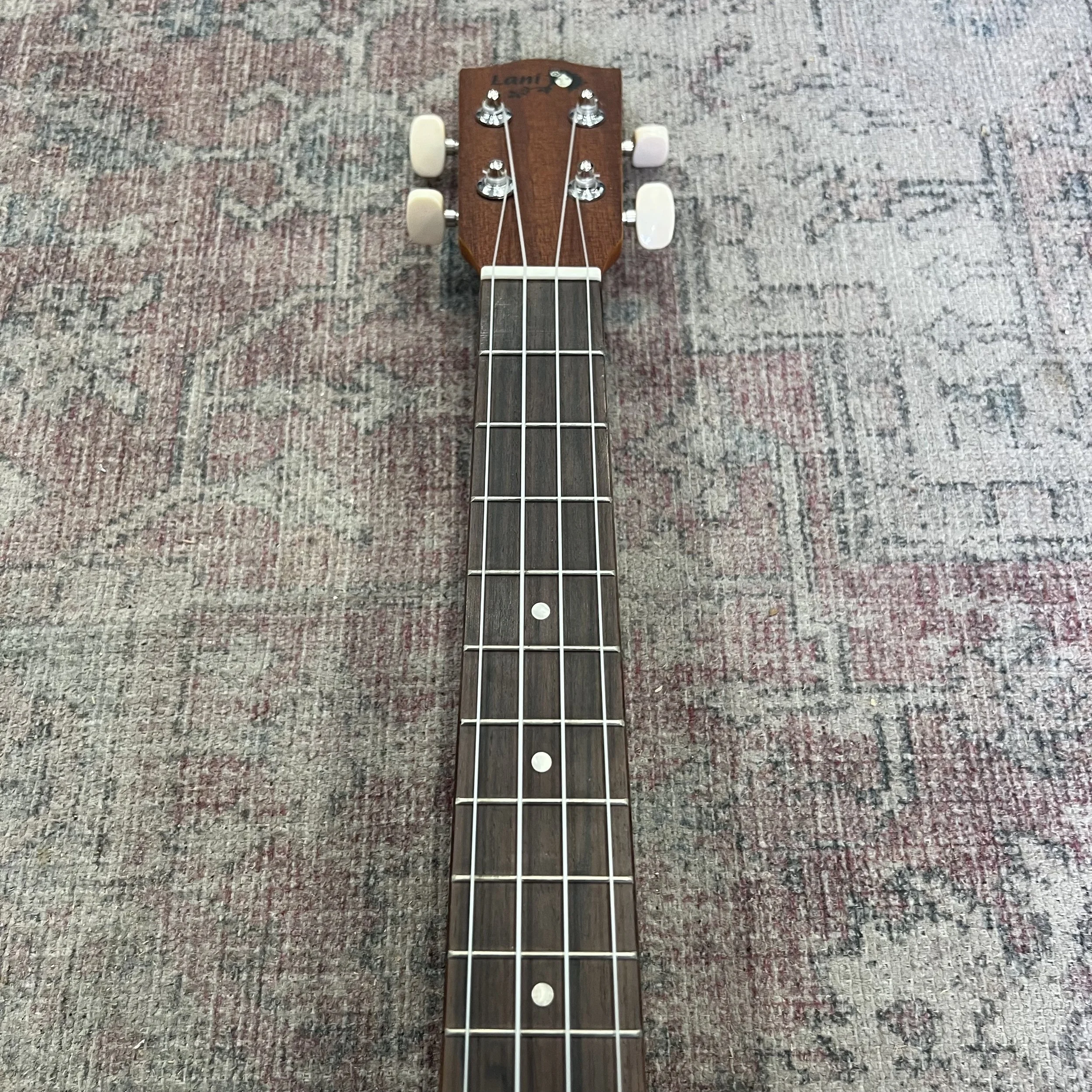 Lani-baritone-ukulele-LB50-hard-black-case-07.jpeg