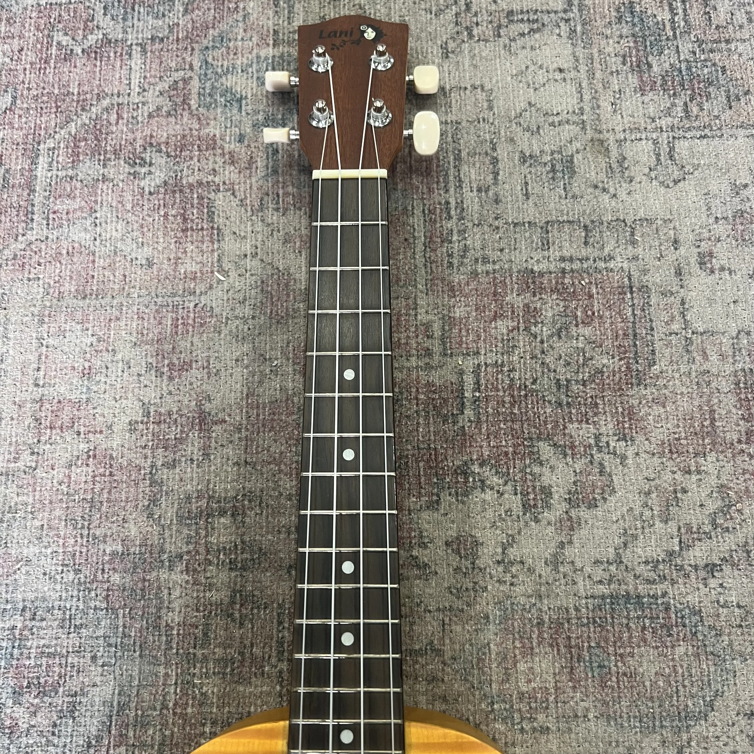 Lani-tenor-ukulele-LT55MO-soft-black-case-05.jpeg