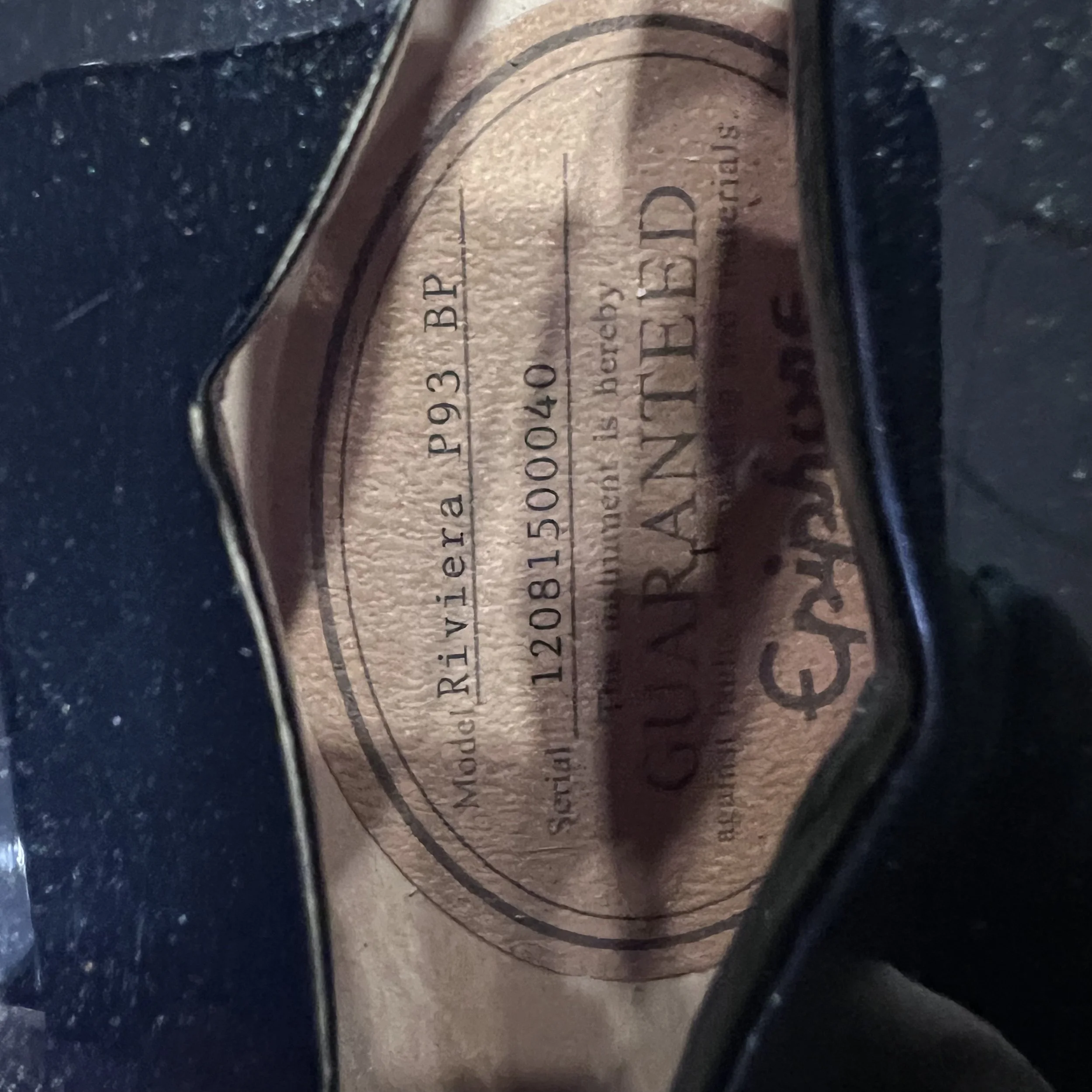 epiphone Riviera p93 BP_04.jpeg