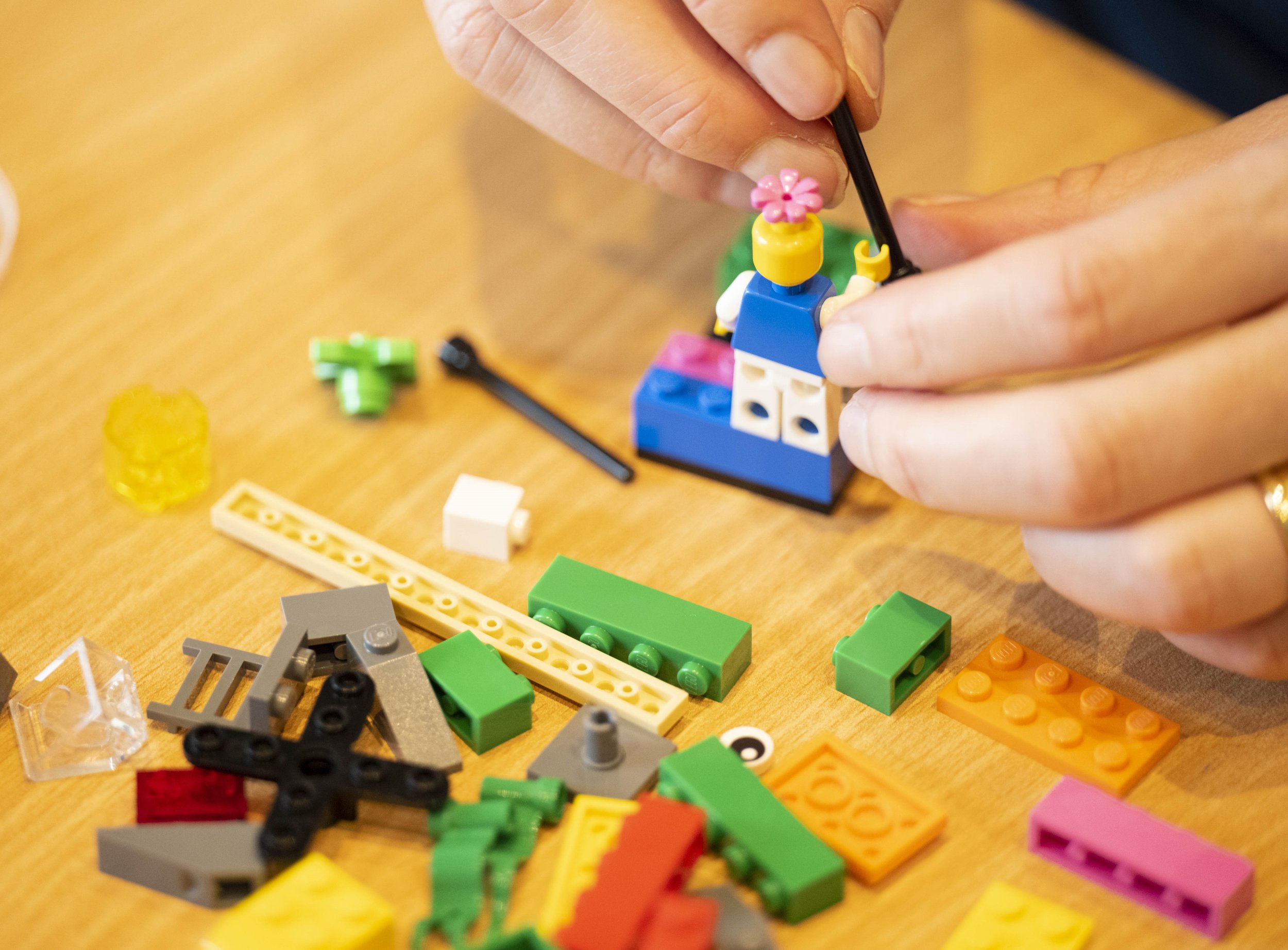 Lego and hands.jpg