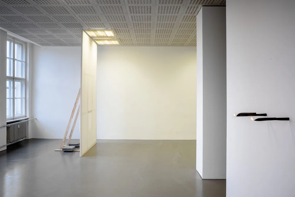 WhatsApp Image 2024-11-15 at 14.56.02.jpeg