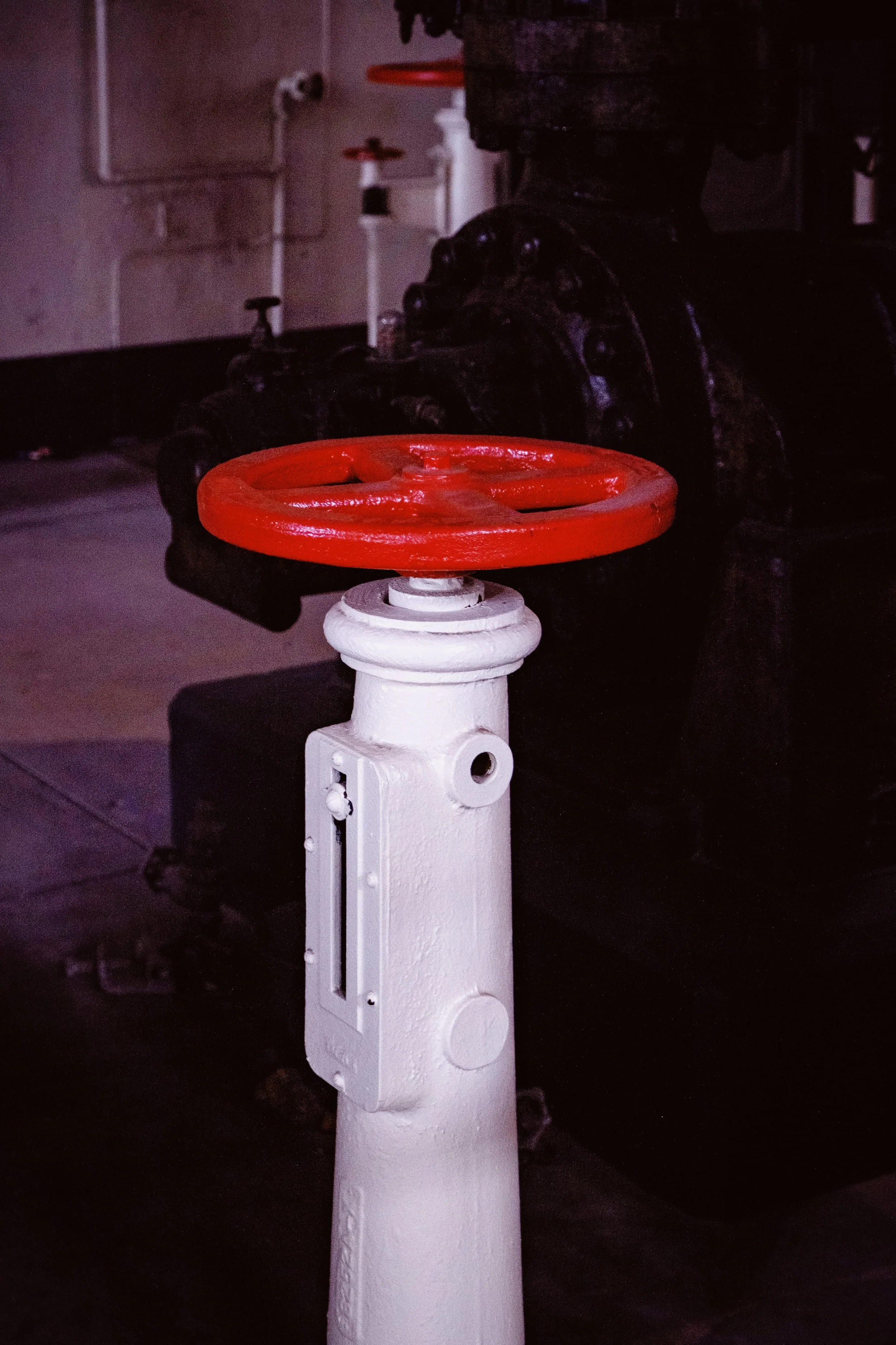 VSCO Studio Image (11).jpeg