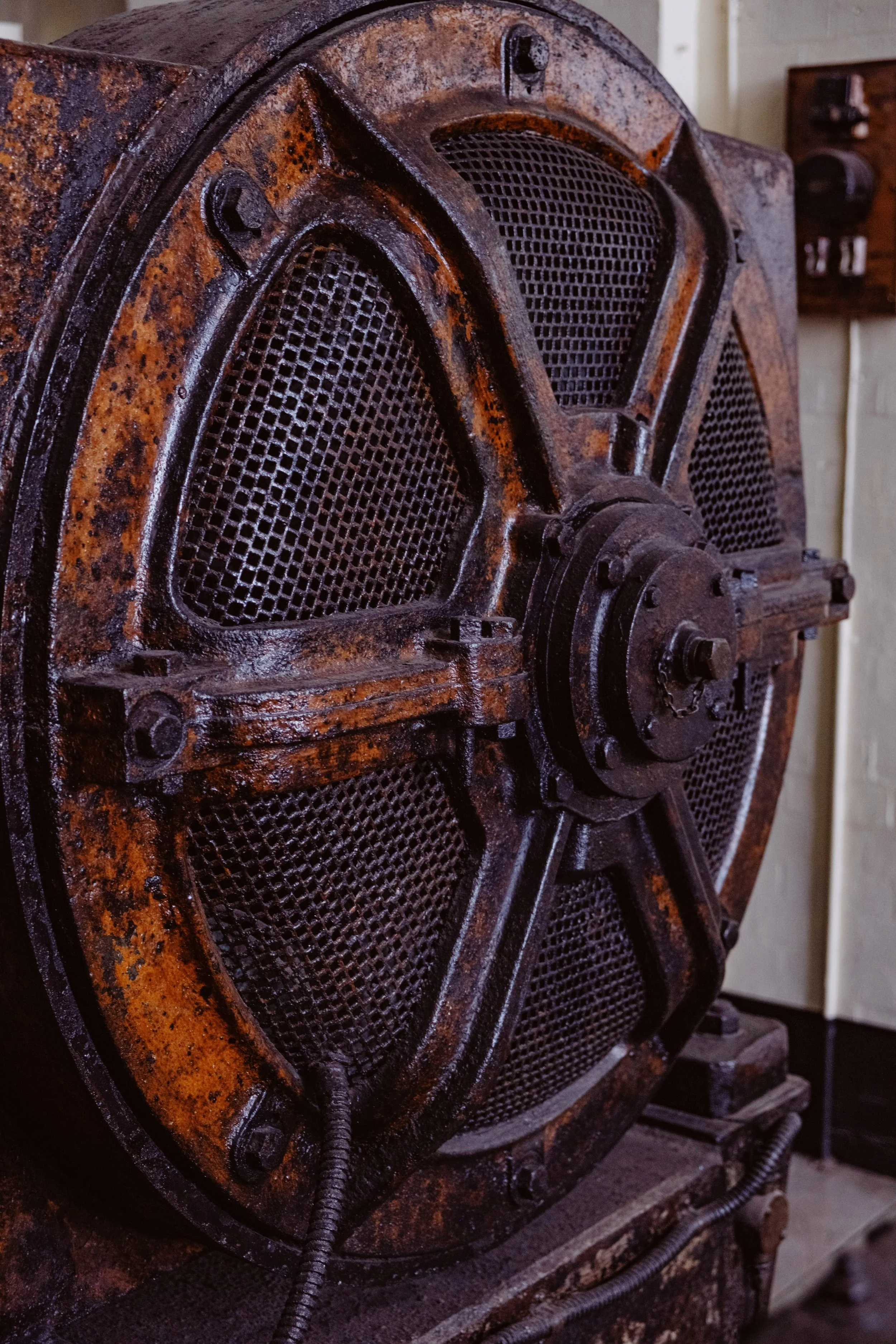 VSCO Studio Image (12).jpeg