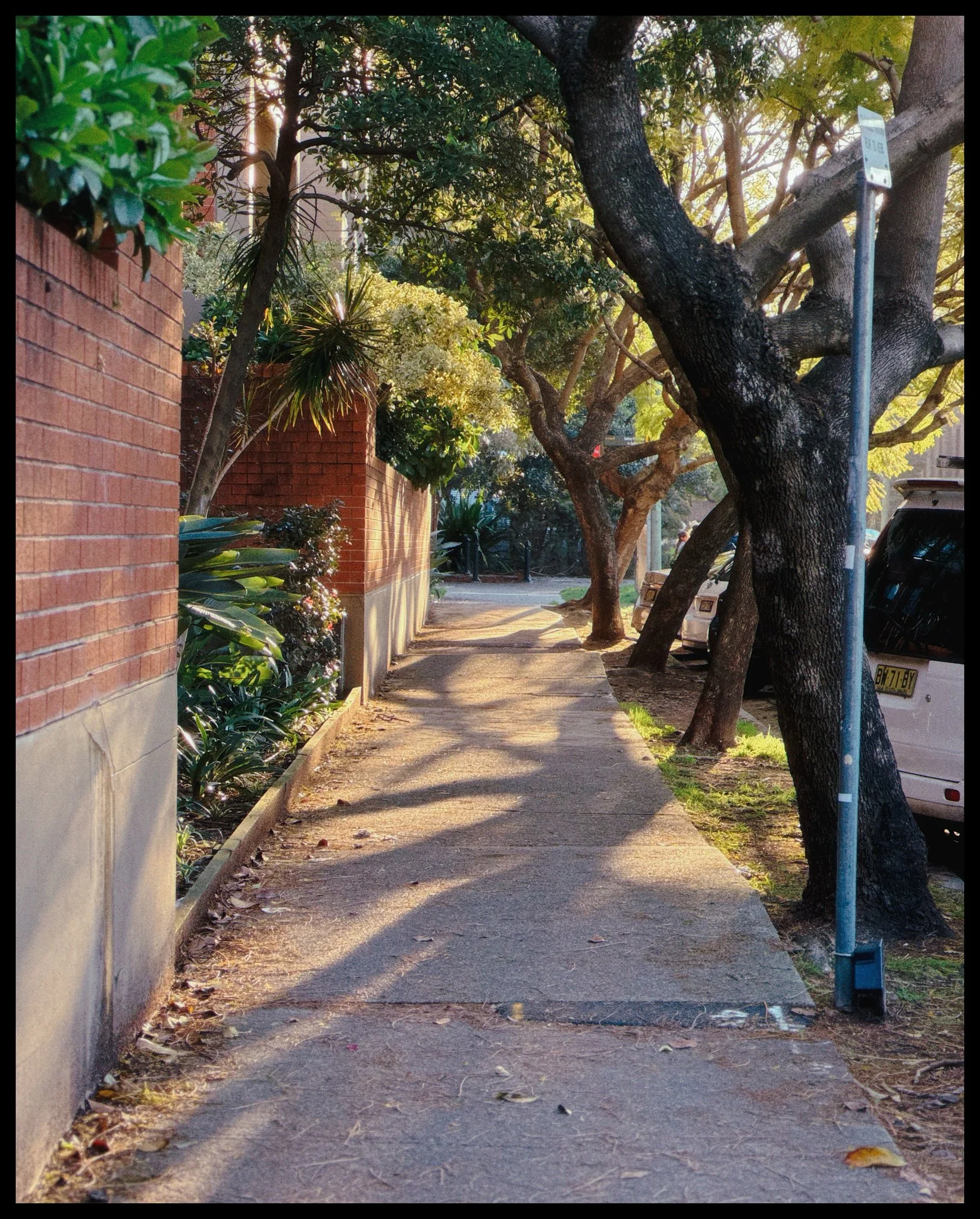 A sidewalk with trees casting shadows, a brick wall on the left side, parked cars on the right, and sunlight filtering through the leaves.