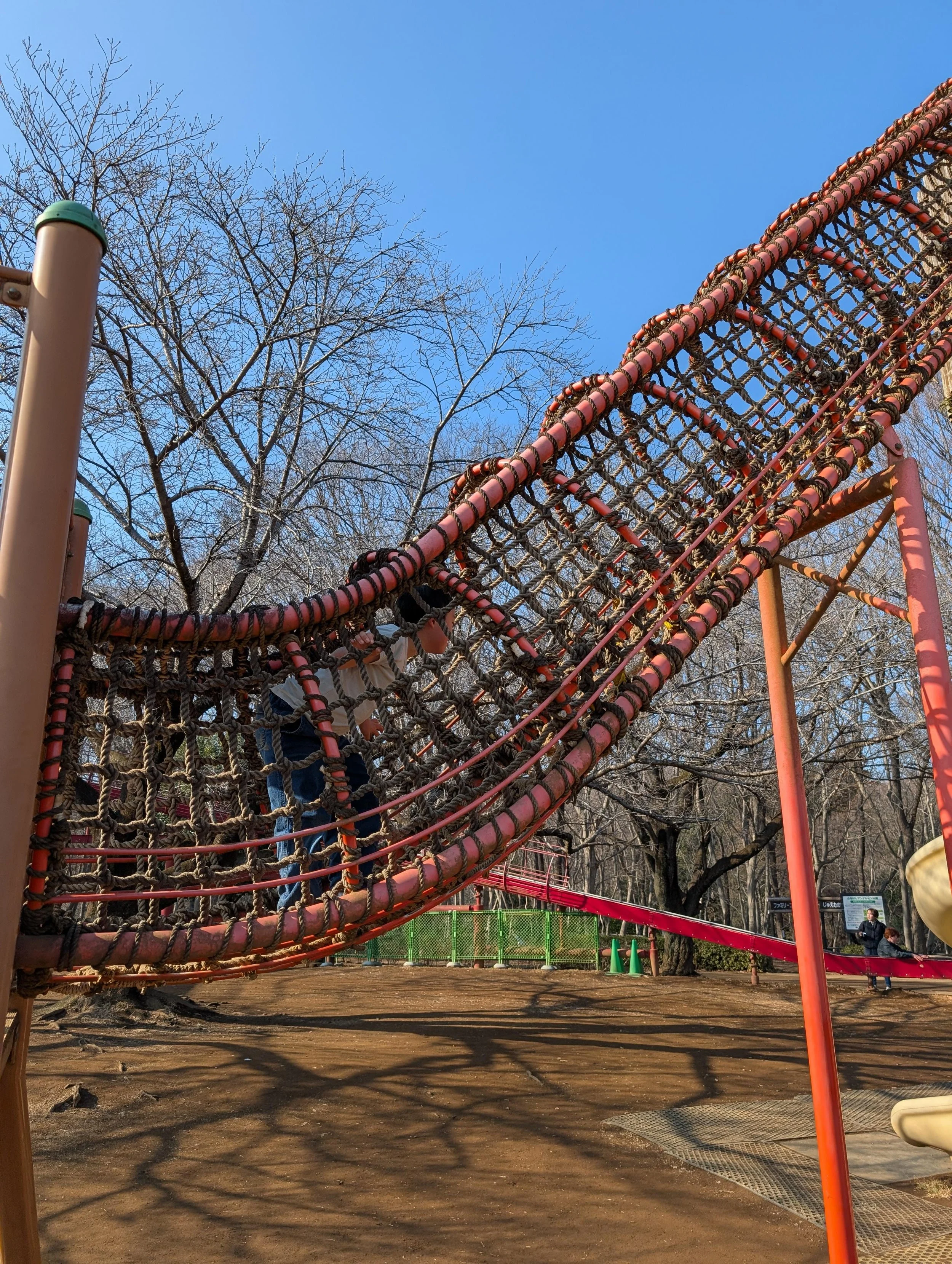 Strawberry Picking and Andersen Park Museum