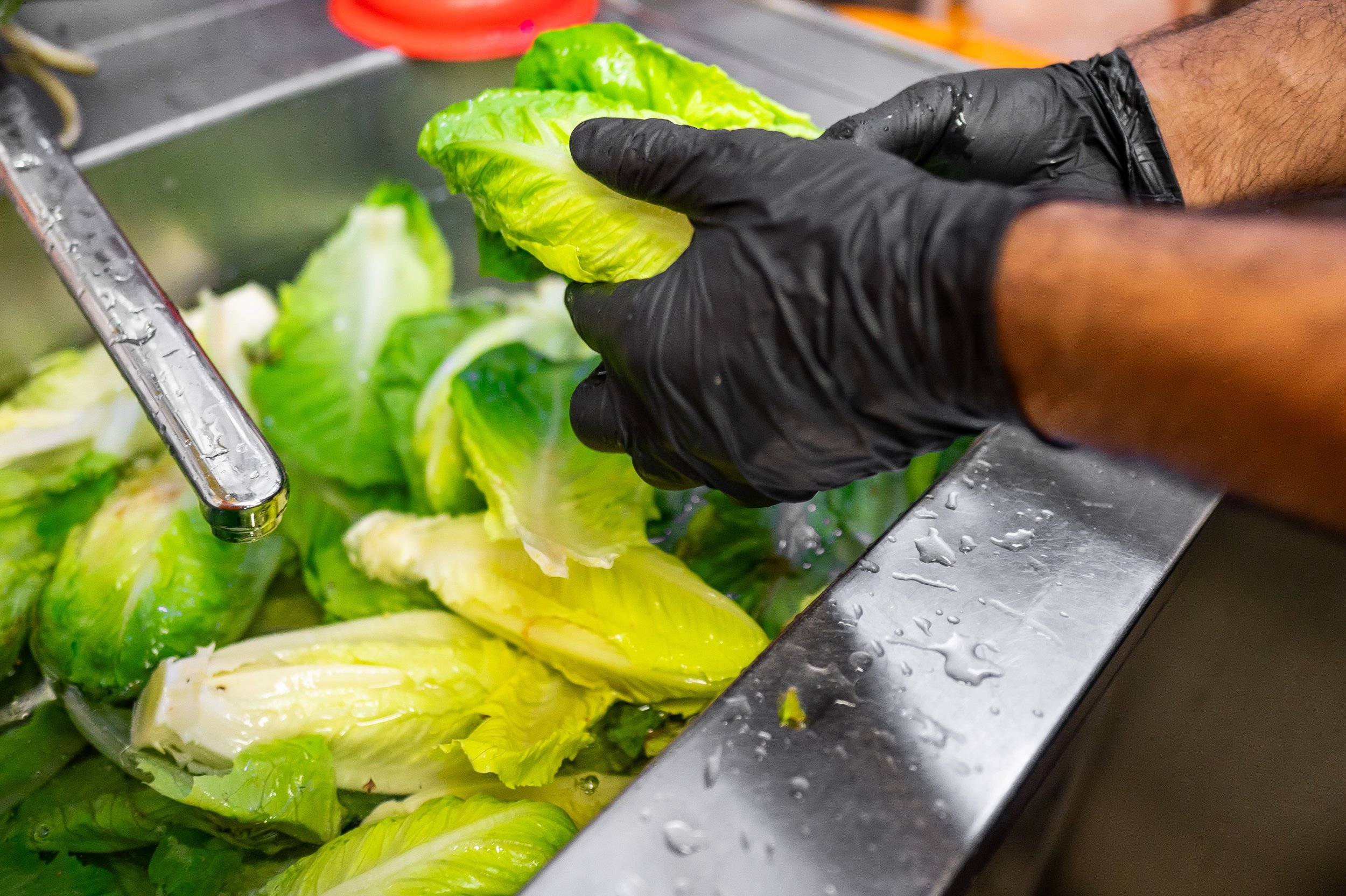 Food Safety Starts with the Right Equipment: What to Look For