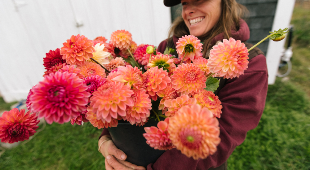 Florists — Maine Flower Collective
