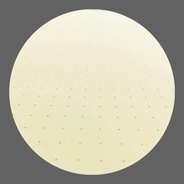 Pages pointillées.jpg