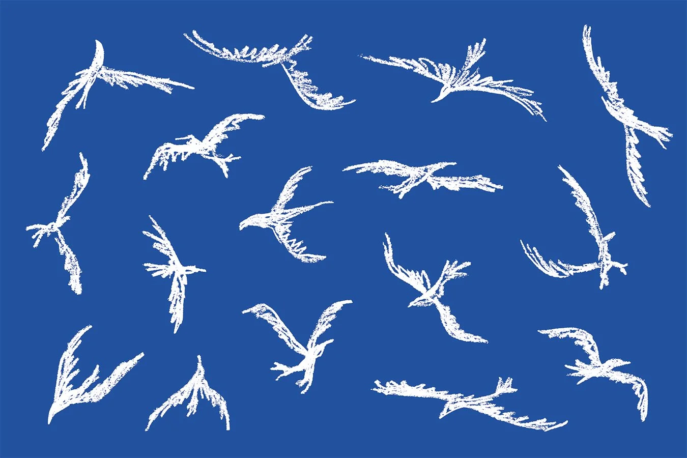 Verso du fanzine Le Vieux-aux-Oiseaux