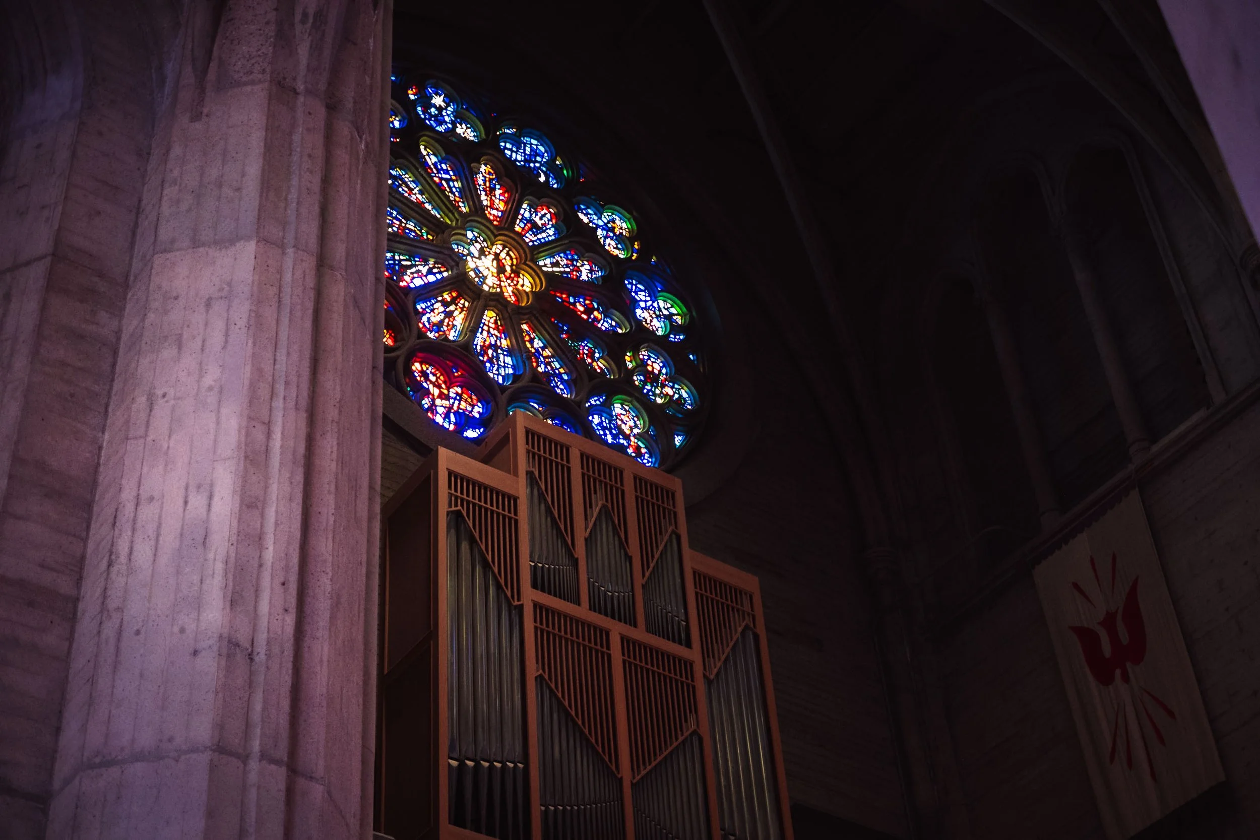 DSCF0513.jpg