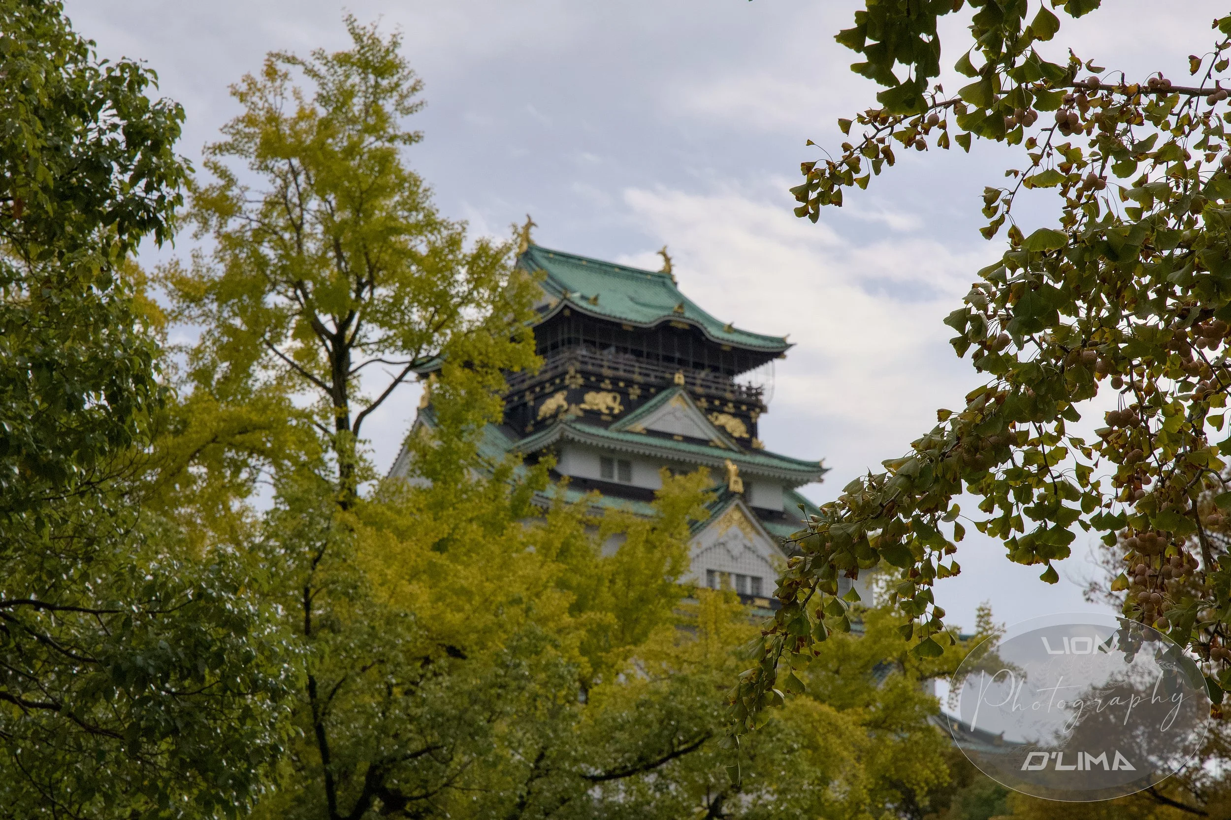 Osaka Castle through the changing fall trees