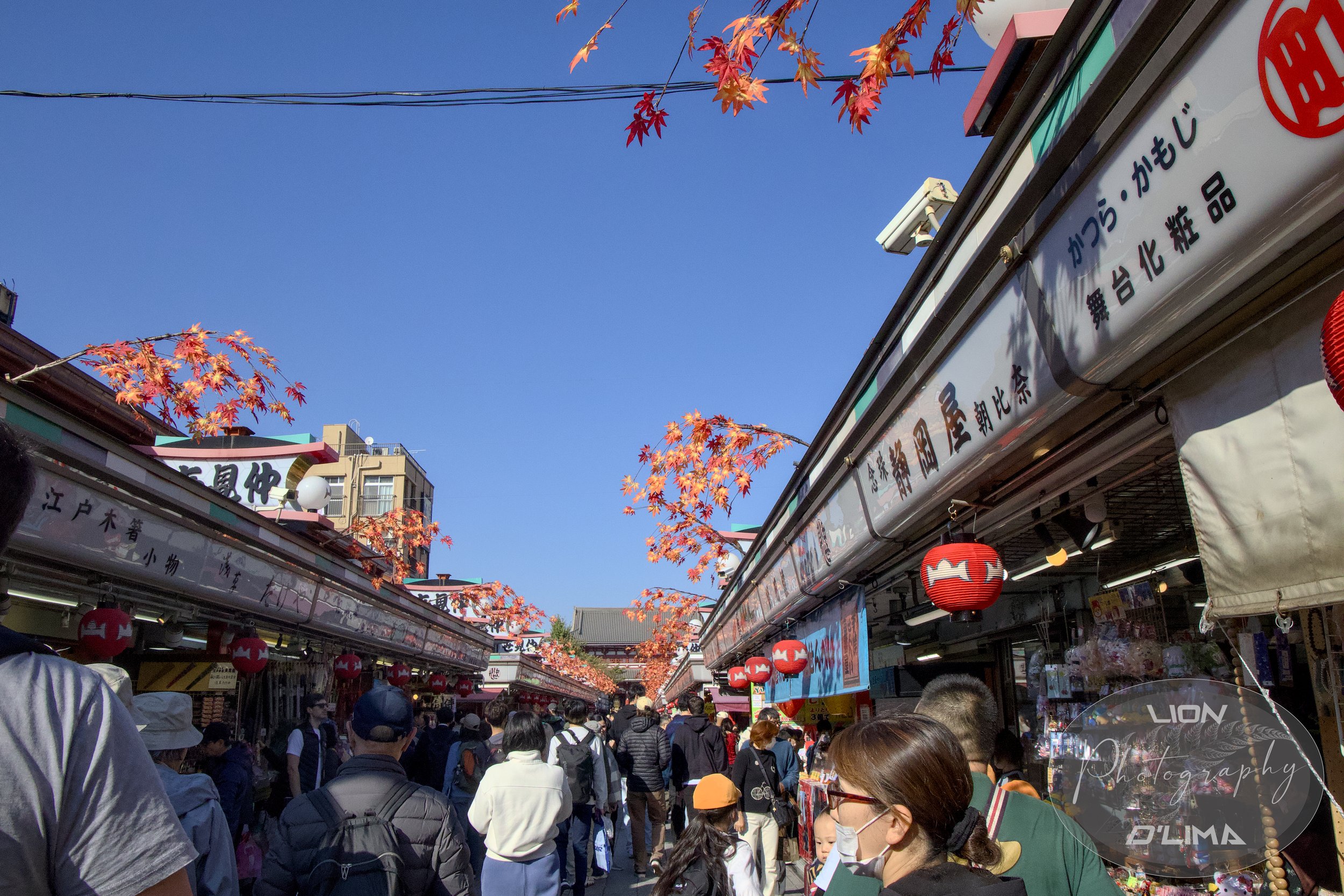 Nakamise Shopping Street Tokyo 