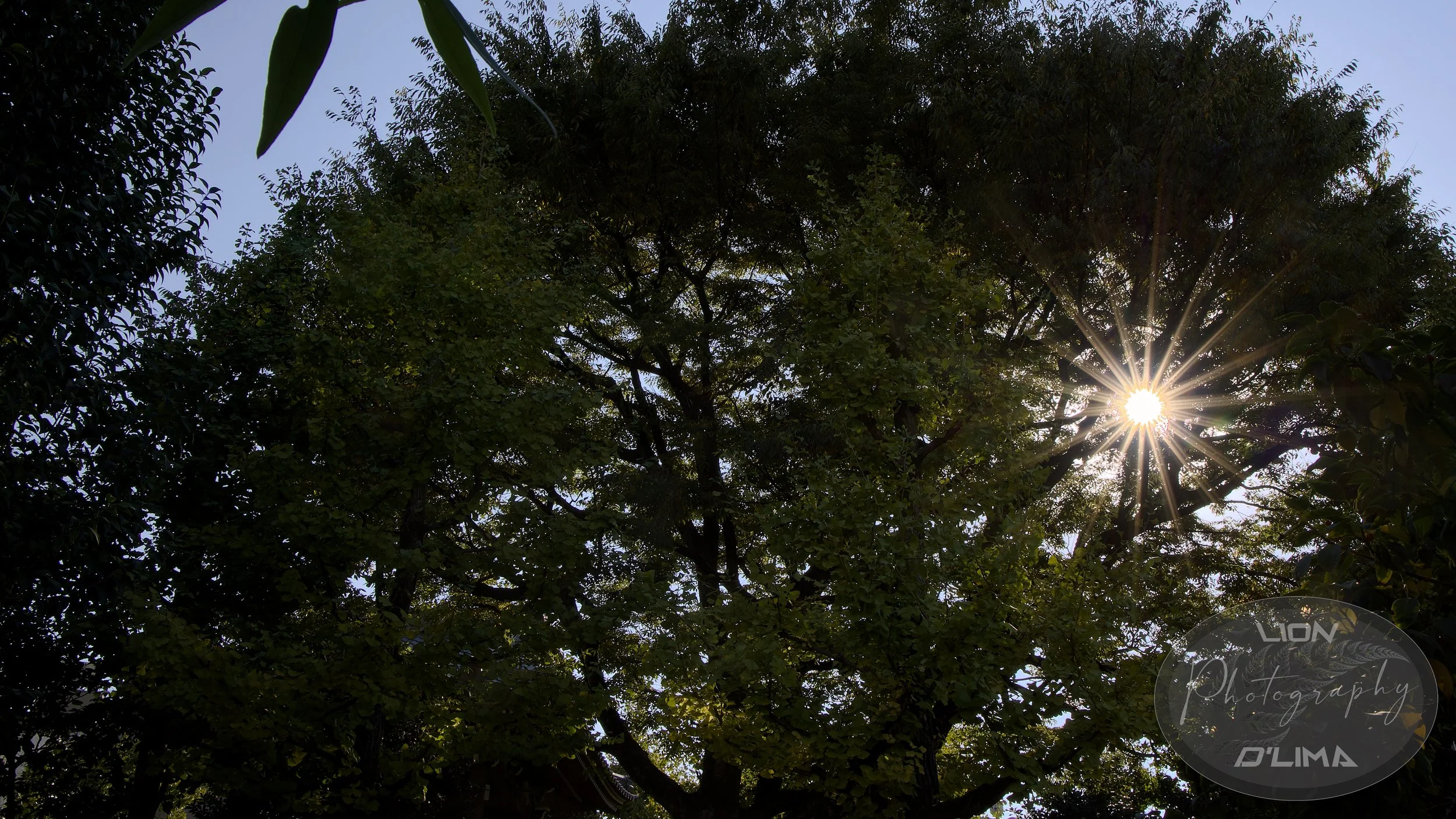 Light / Sun Art at Sensō-ji Temple Tokyo