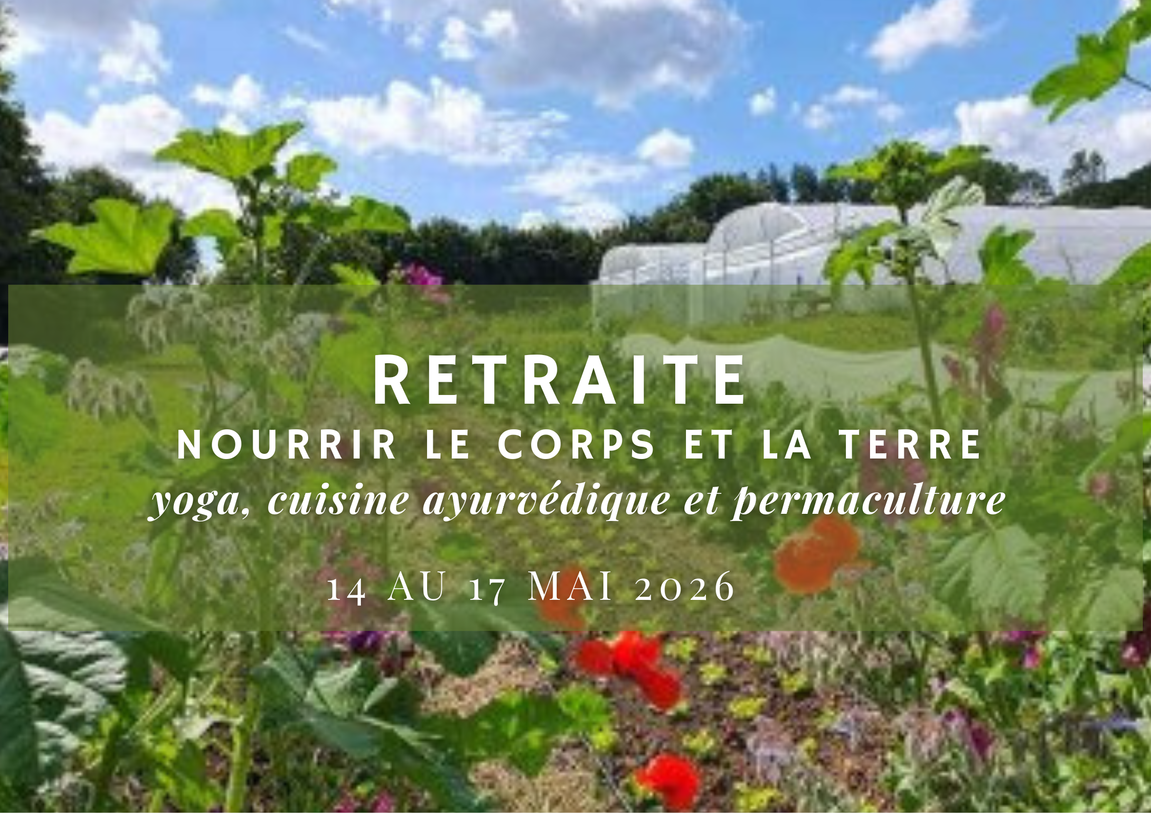 Retraite yoga, cuisine et permaculture